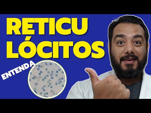 Vídeo: Onde é produzido o reticulócito?