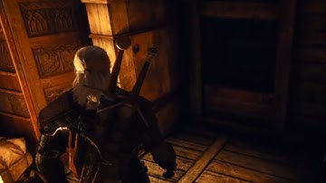 The Witcher 3 - Search the Agent