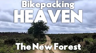 Trees for Days: Bikepacking the New Forest