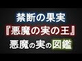 「悪魔の実の王」(妄想)【ワンピース大好き(新)】