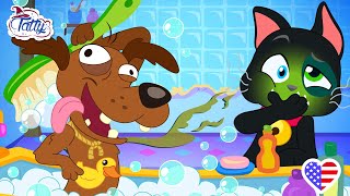 Download Lagu Chewbarka’s Dream | Or Was It Real After All? MP3 Download Lagu Chewbarka’s Dream | Or Was It Real After All? MP3
