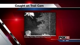Trail camera helps police nab alleged vandals