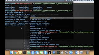 Mastering Concurrency in Python | 11. Building Communication Channels with asyncio
