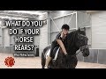 WHAT DO YOU DO IF YOUR HORSE REARS?  - FearLESS Friday Episode 65