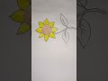 #sunflower #vlog