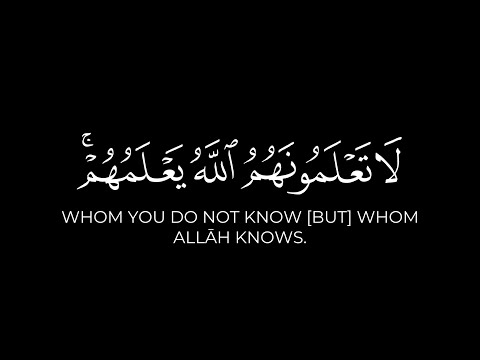 وأعدوا لهم ما استطعتم ياسر الدوسري كروما ايات قرانية سورة الأنفال كرومات قرآن كريم شاشة سوداء
