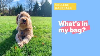 What's in my bag? || college backpack