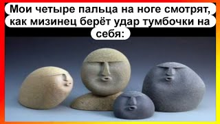 : -   |  