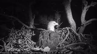 [Big Bear Lake Eagle Cam] Fiona Coming and Jackie Wingslapping (1/27/2024)