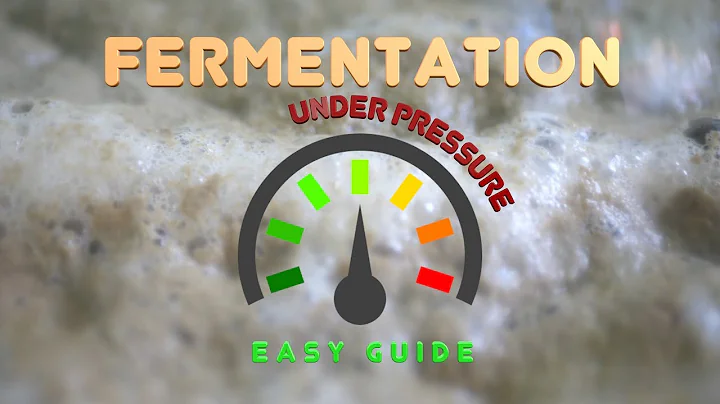 Fermentation Under Pressure Easy Guide