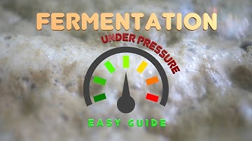 Fermentation Under Pressure Easy Guide