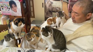 住職は猫ホイホイ。