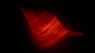 Electric Jazz Music Video - Laser Flame analogue laser show effect