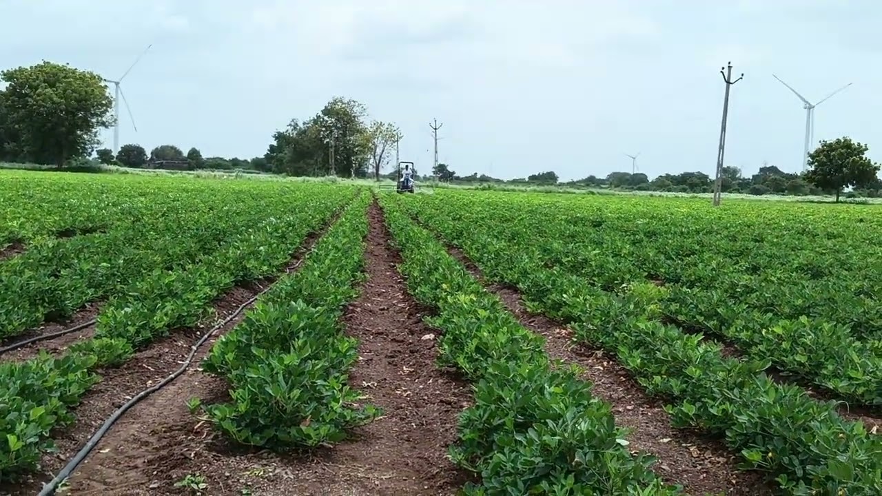 Jay Kishan Mini Tractor With Spray Pump, it is Use Magfali ki Kheti happy Independence 