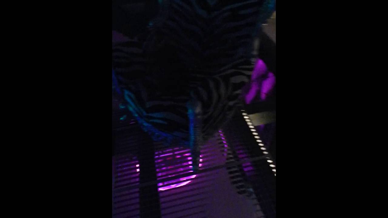 Mein bearbeitetes Video