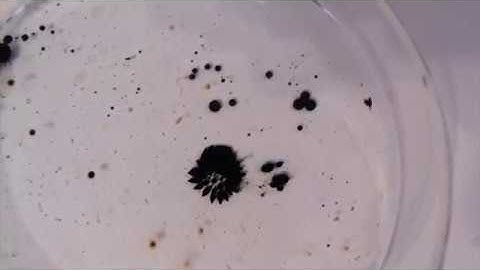 Build your own Digital Ferrofluid Display! Part 2 & PCBWay Review