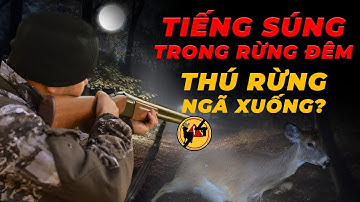 Điều tra: Bí ẩn tiếng động lạ giữa rừng đêm – Chuyện gì đang xảy ra ở Vườn Quốc gia Cát Tiên?