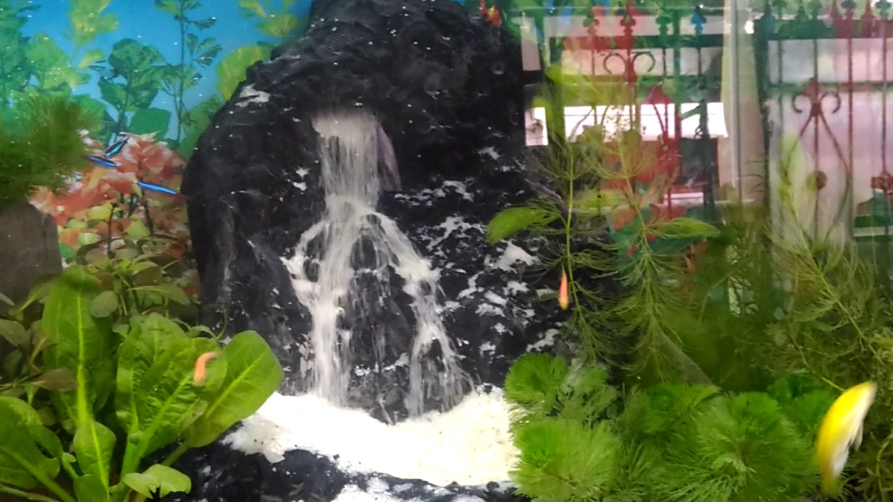 Cara Membuat Air Terjun Aquascape Dengan Aerator