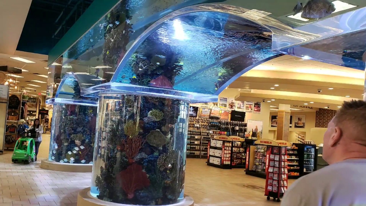 S C H E E L S SPORTING GOODS STORE DANG, THAT'S A BIG STORE! Hunting