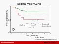 Cox proportinal hazards model using SPSS (survival ...