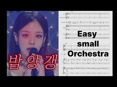 밤양갱Fkey 쉬운 스몰 오케스트라  - 비비(BIBI)