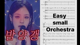 밤양갱Fkey 쉬운 스몰 오케스트라  - 비비(BIBI)