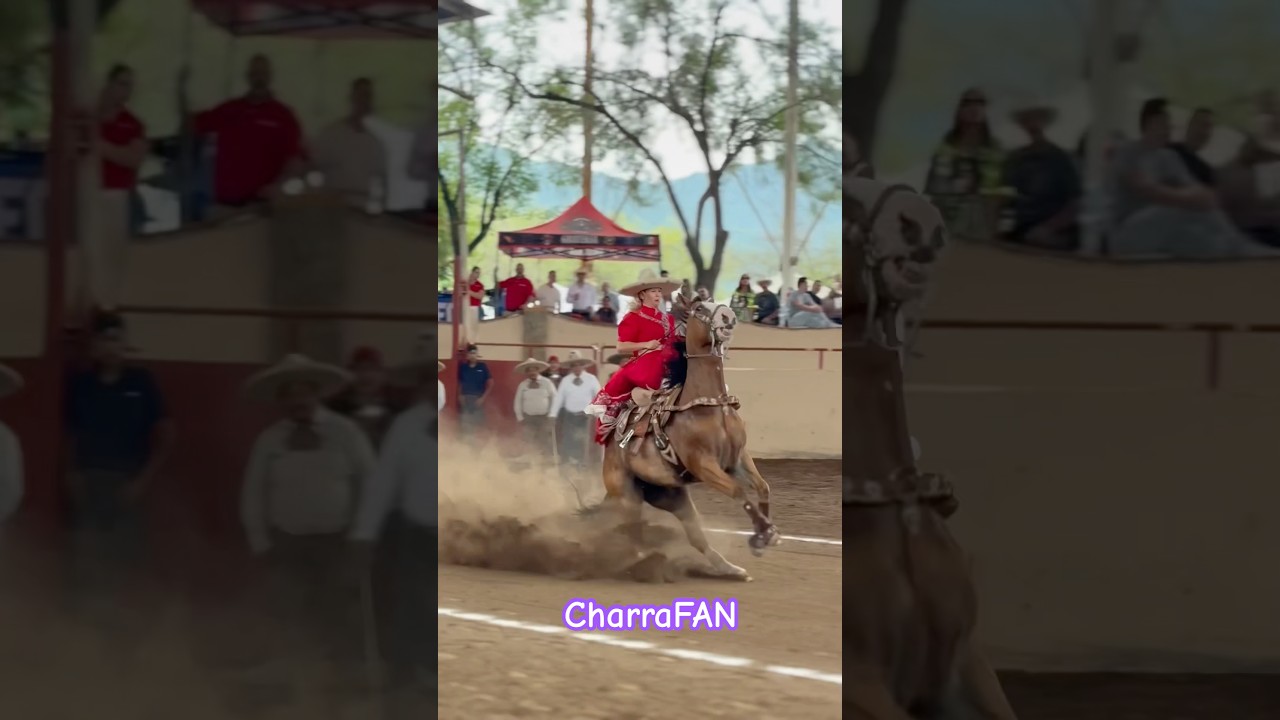 La belleza de la Charrería… las adelitas que compiten en escaramuzas montadas a mujeriegas!