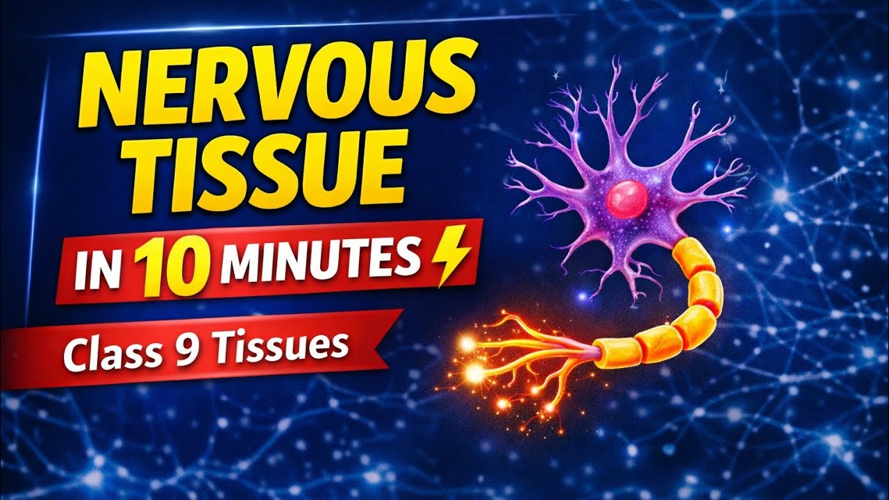 Nervous Tissue in 8 Minutes ⚡ | Class 9 Tissues|