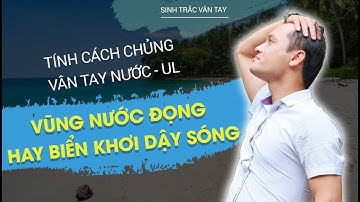 SINH TRẮC VÂN TAY - CHỦNG VÂN TAY NƯỚC UL, VŨNG NƯỚC ĐỌNG HAY BIỂN KHƠI DẬY SÓNG! l NGUYỄN NINH