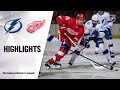 Lightning @ Red Wings 3/11/21 | NHL Highlights