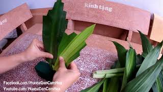 tutorial for leaf ,how to cutting Dracaena Fragrans for Christmas ?