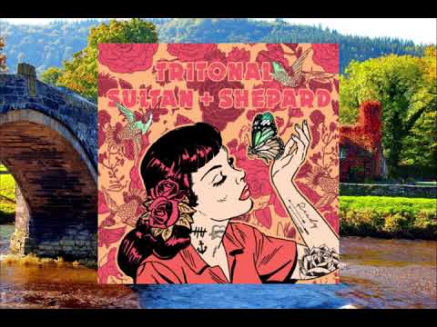 Tritonal x Sultan + Shepard - Ready (feat Zach Sorgen) (Lorian Rose Remix)