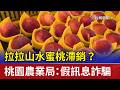 拉拉山水蜜桃滯銷？ 桃園農業局：假訊息詐騙