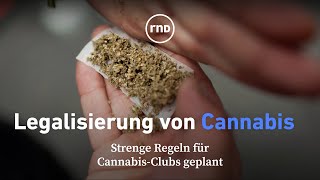 Strenge Regeln für Cannabis-Clubs geplant