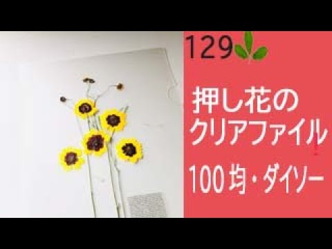 １００均押し花 ダイソーのラミネートフィルム使ってみた 器械がいらないラミネートで 押し花のクリアファイル作り Youtube