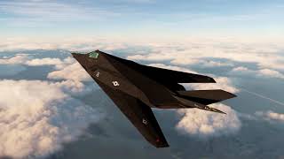 DCS F117A Cruse
