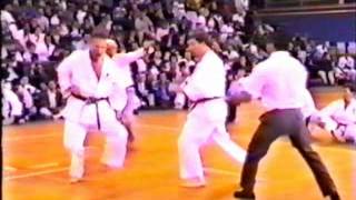 Karate Kumite Frank Brennan