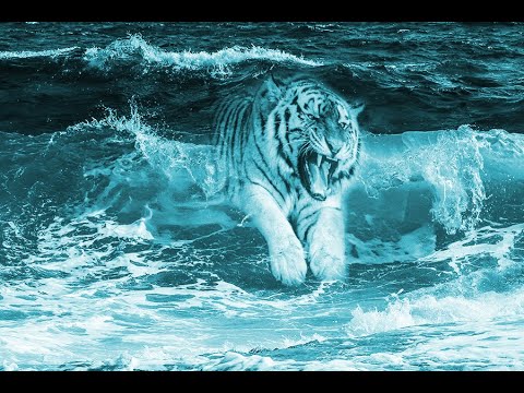 The sea and tiger Blend Two Photos in Photoshop - Manipulation Tutorial ...