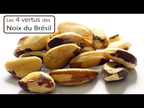 Vidéo: Que sont les noix du Brésil - Informations et conseils sur la culture des noix du Brésil