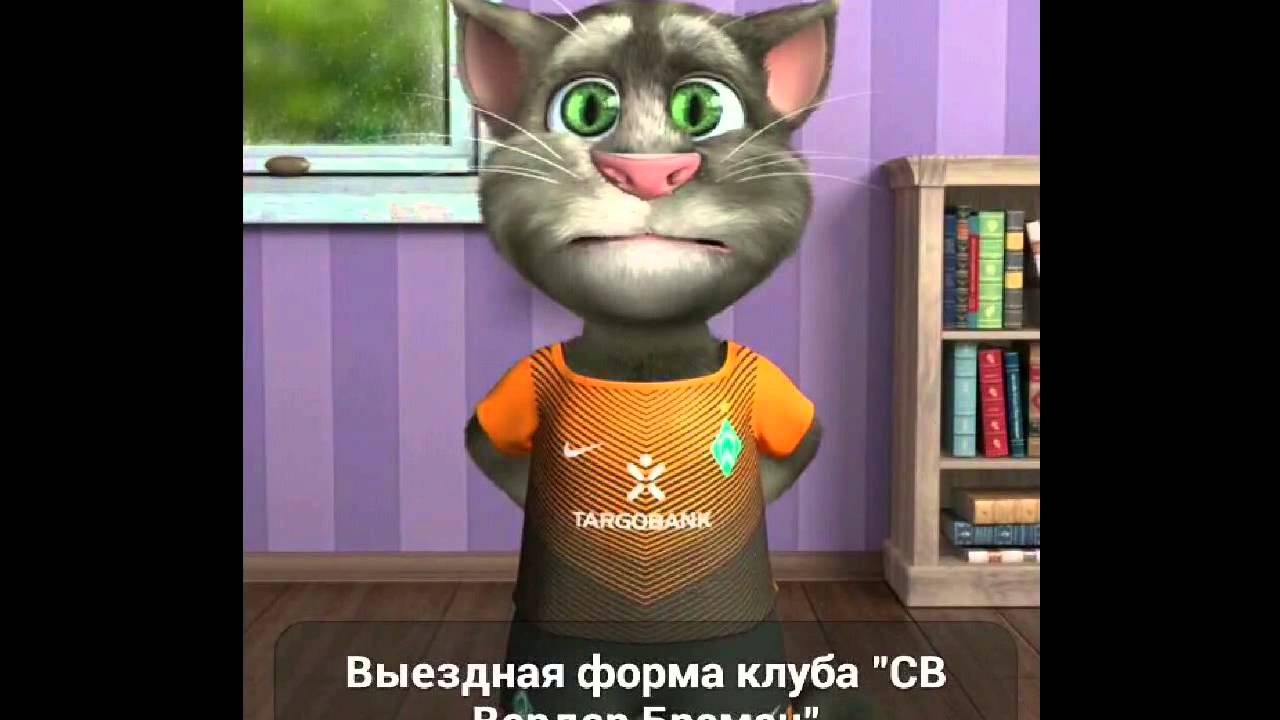 Говорящий кот из баку видео. Говорящий кот из баку видео. Видео говорящие коты. Говорящий кот из баку видео. Говорящий кот из баку видео.