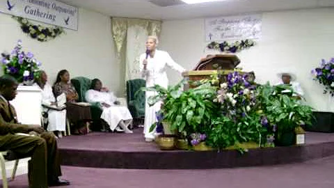 Apostle Carolyn L. Hicks Spirit of a Lunatic