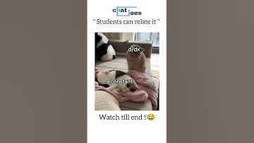 " Comment if you relate it " #chatjees #viralshort #funny #cat #kitten #jee #neet #maths #physics