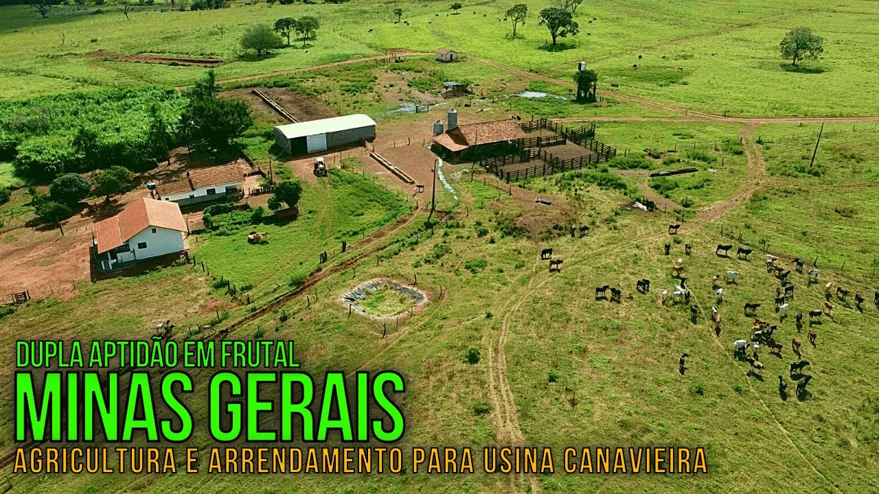 BELÍSSIMA FAZENDA A VENDA COM DUPLA APTIDÃO EM FRUTAL-MG