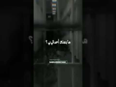 جنتي في صدري فقتلي شهادة و سجني خلوة كلام ابن تيمية عند سجنه