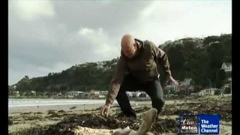 In natura non si butta via niente - Profumo di Balena