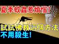 夏季蚊蟲惹煩惱？請試試佛教的這個方法，驅蚊再也不用殺生！印光大師也在用！