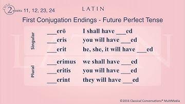 Classical Conversations   Cycle 2   Week 11   Latin