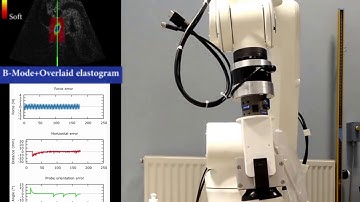 Automatic palpation for quantitative US elastography by visual servoing and force control