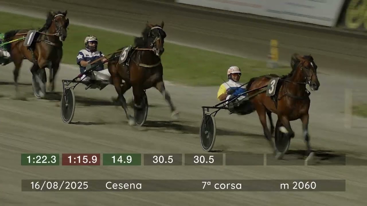 2025 08 16 | Corsa 7 | Metri 2060 | Premio Gran Premio Citta' Di Cesena