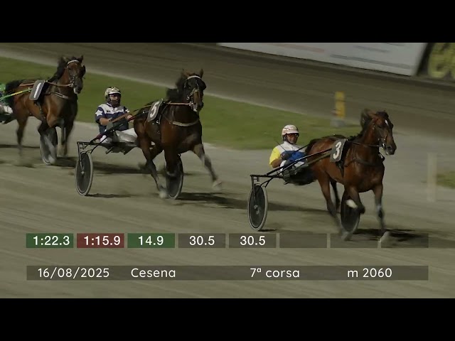 2025 08 16 | Corsa 7 | Metri 2060 | Premio Gran Premio Citta' Di Cesena